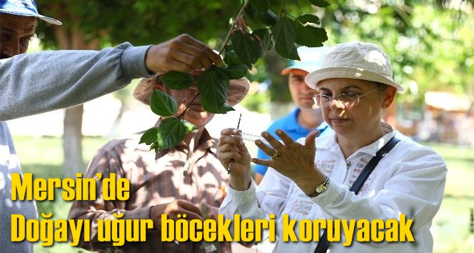 Mersin&rsquo;de doğayı uğur b&ouml;cekleri koruyacak