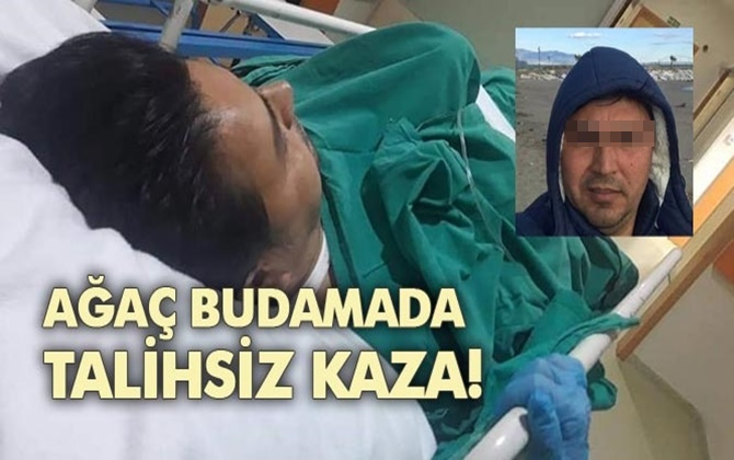 Mersin Anamur'da Spiral Taşlama Makinesi İle Ağa&ccedil; Budamaya &Ccedil;alışan Bir Şahıs Yaralandı