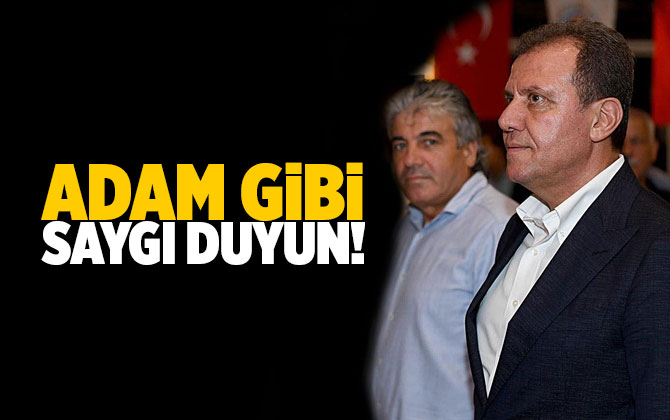 Olcay Tok