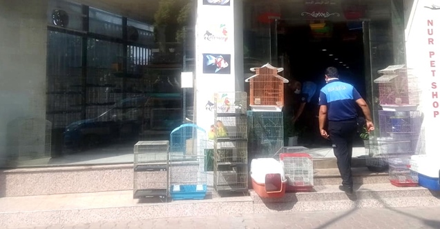 Akdeniz Zabıtası Pet Shopları Denetledi