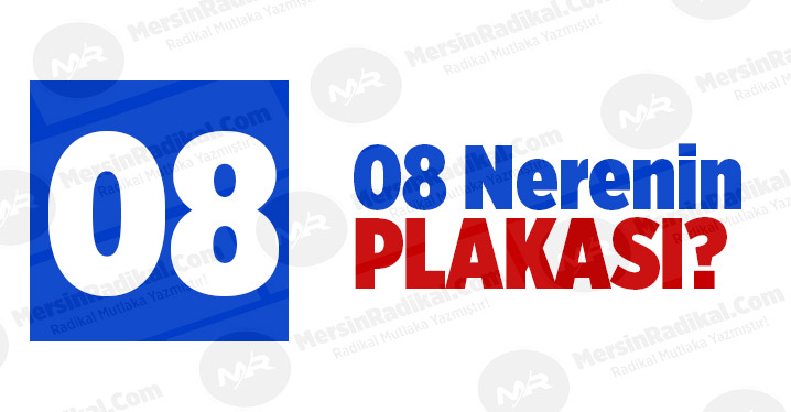08 Nerenin Plaka Kodu, 08 Plakası, Artvin'in Plakası Ka&ccedil;?