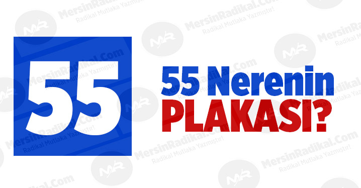 55 Nerenin Plaka Kodu, 55 Plakası, Samsun&rsquo;un Plakası Ka&ccedil;?