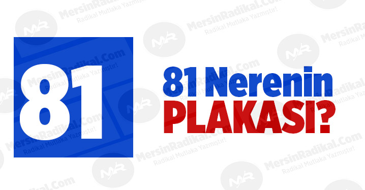 81 Nerenin Plaka Kodu, 81 Plakası, D&uuml;zce&rsquo;nin&nbsp;Plakası Ka&ccedil;?