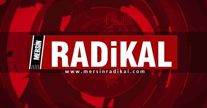 Alkoll&uuml; Gen&ccedil; Damdan D&uuml;şerek &Ouml;ld&uuml;