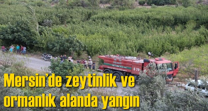 Mersin&rsquo;de zeytinlik ve ormanlık alanda yangın