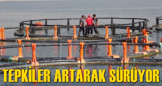 Mersin Kent Konseyi&rsquo;nden balık &ccedil;iftlikleri tepkisi