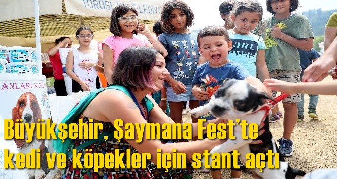 B&uuml;y&uuml;kşehir, Şaymana Fest&rsquo;te kedi ve k&ouml;pekler i&ccedil;in stant a&ccedil;tı