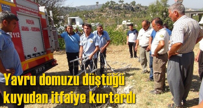 &Ccedil;ift&ccedil;ilerin &uuml;z&uuml;m&uuml;n&uuml; yiyen yavru domuzu d&uuml;şt&uuml;ğ&uuml; kuyudan itfaiye kurtardı