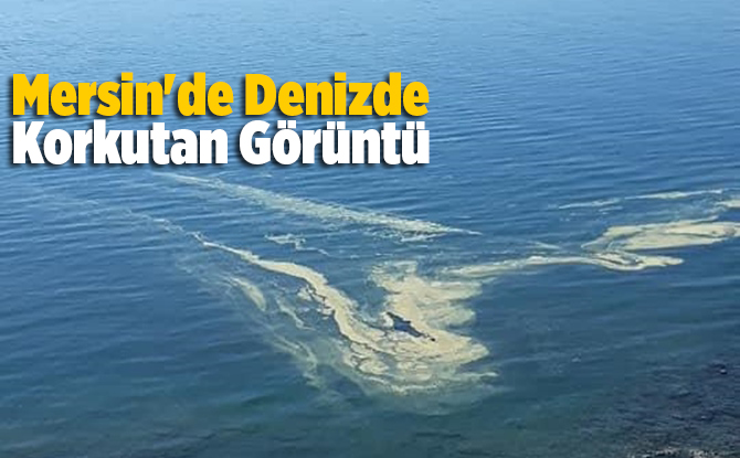 Mersin'de Denizde Korkutan G&ouml;r&uuml;nt&uuml;