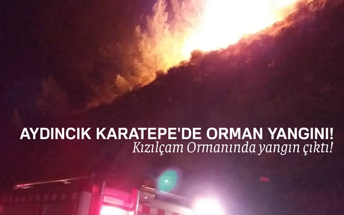 Mersin Aydıncık Karatepe'de Orman Yangını