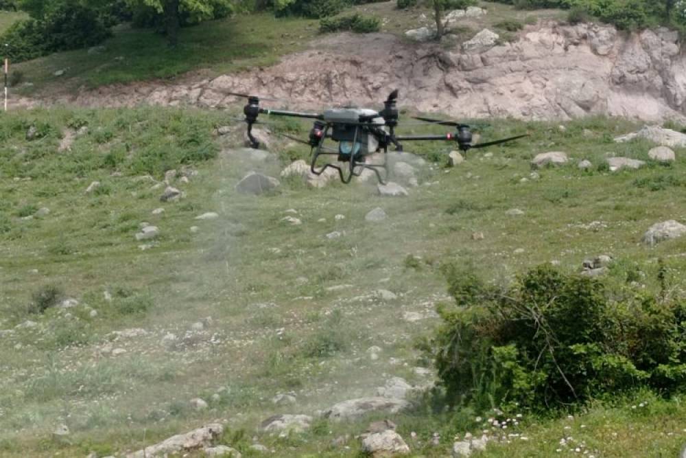 Manisa'da tarla &ccedil;ekirgelerine 'drone'lu m&uuml;cadele