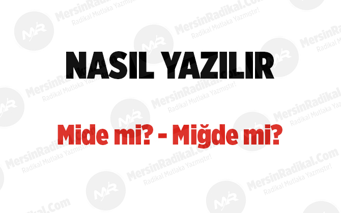 Mide nasıl yazılır? TDK doğru yazılışı, mide mi?, miğde mi?