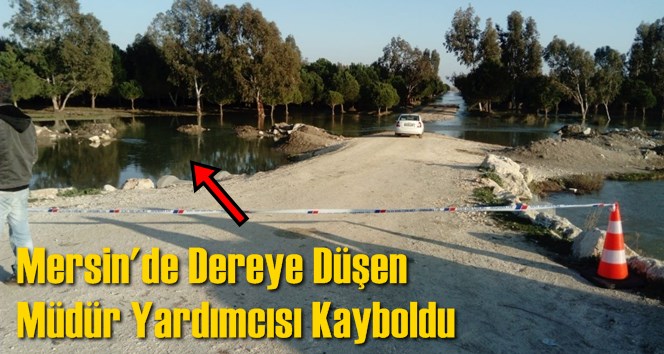 Mersin'de Dereye D&uuml;şen M&uuml;d&uuml;r Yardımcısı Kayboldu