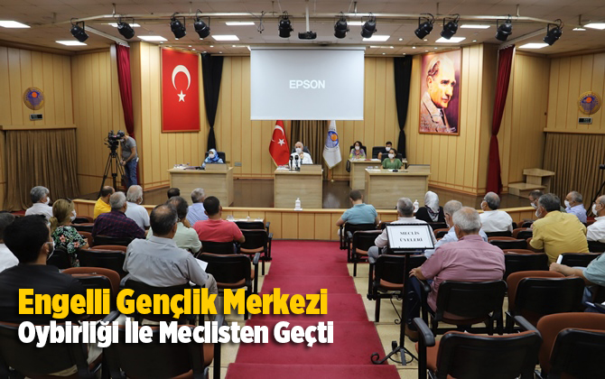 Engelli Gen&ccedil;lik Merkezi, Oybirliği İle Meclisten Ge&ccedil;ti