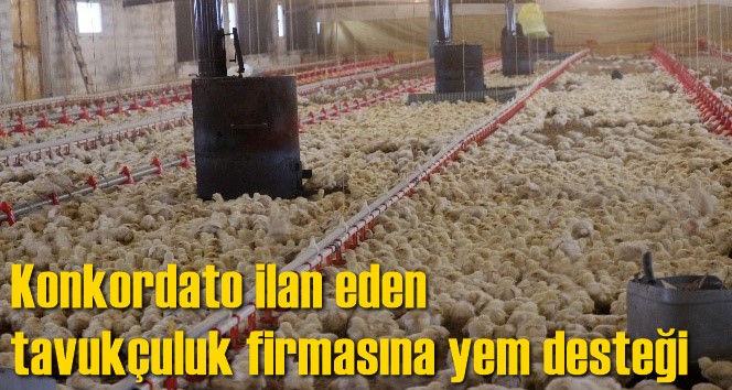 Konkordato ilan eden tavuk&ccedil;uluk firmasına yem desteği