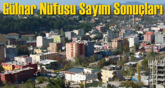 G&uuml;lnar N&uuml;fusu Sayım Sonu&ccedil;ları