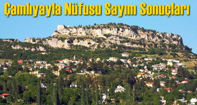 &Ccedil;amlıyayla N&uuml;fusu Sayım Sonu&ccedil;ları