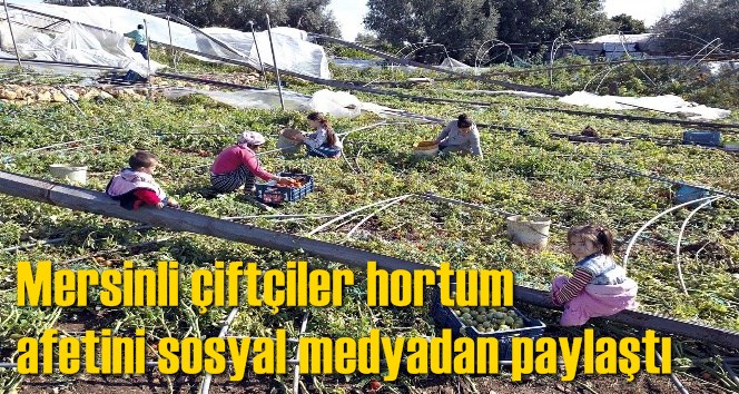 Mersinli &ccedil;ift&ccedil;iler hortum afetini sosyal medyadan paylaştı
