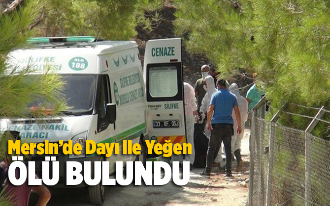 Mersin'de dayı ile yeğeni sulama havuzunda &ouml;l&uuml; bulundu 
