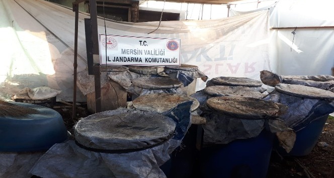 Tarsus'ta 3 bin litre ka&ccedil;ak i&ccedil;ki ele ge&ccedil;irildi