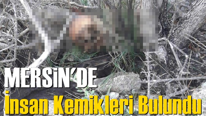 Mersin'de &Ccedil;alılıklarda İnsan Kemikleri Bulundu