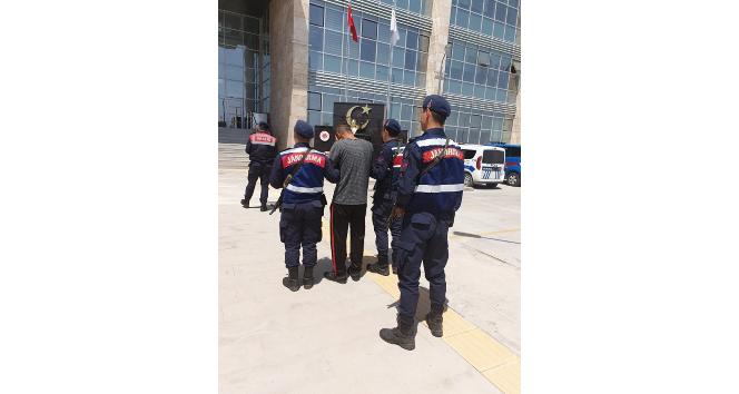 Mersin'de 5 kişi ter&ouml;r &ouml;rg&uuml;t&uuml; &uuml;yesi olmaktan yakalandı