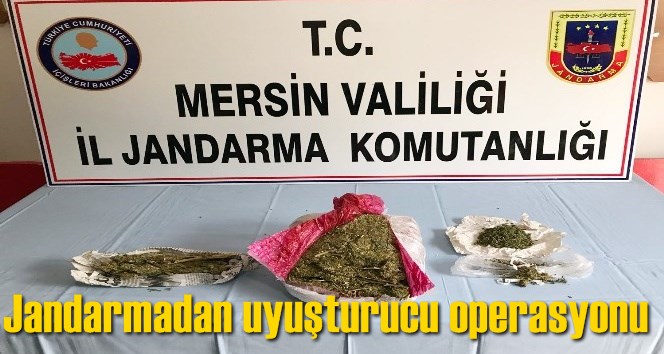 Jandarmadan uyuşturucu operasyonu