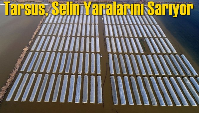 Tarsus, Selin Yaralarını Sarıyor