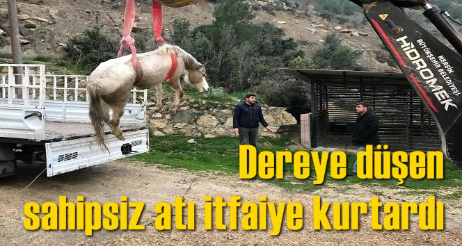Dereye d&uuml;şen sahipsiz atı itfaiye kurtardı