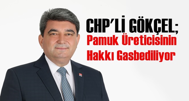 Chp Mersin Milletvekili Cengiz G&ouml;k&ccedil;el;"Pamuk &Uuml;reticisinin Hakkı Gasbediliyor"