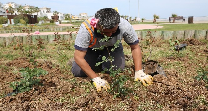 Erdemli sahili &ccedil;i&ccedil;eklerle donatılıyor