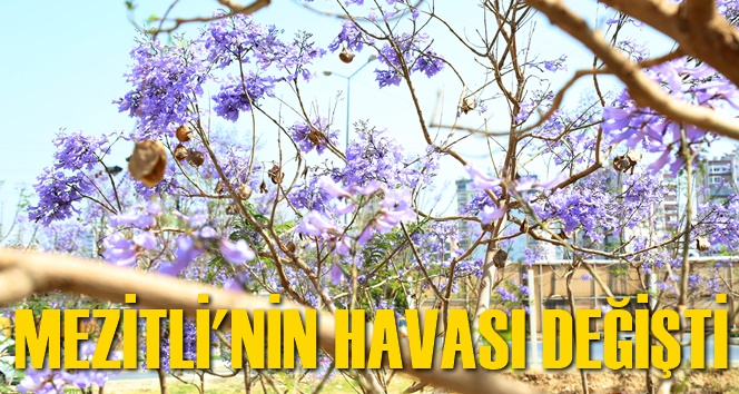 Mezitli&rsquo;de bahar havası yaşanıyor