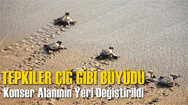 Tepkiler &Ccedil;ığ Gibi B&uuml;y&uuml;y&uuml;nce Merfest Festivali'nin Yeri Değişti