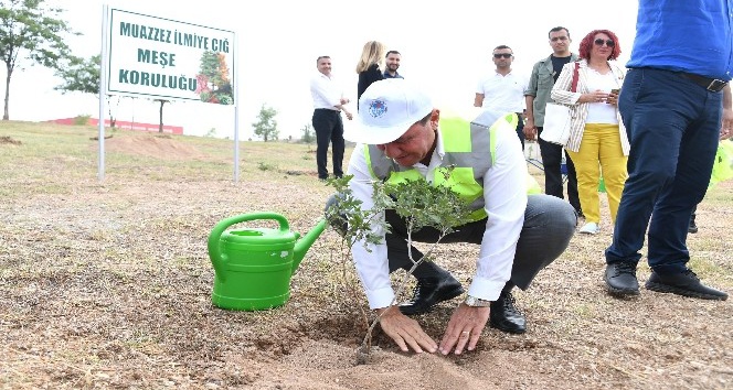 Muazzez İlmiye &Ccedil;ığ i&ccedil;in 105 meşe fidanı dikildi