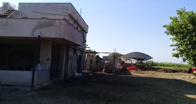 Tarsus'ta 21 b&uuml;y&uuml;kbaş hayvan &ccedil;alındı