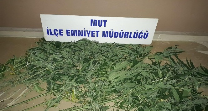 Polis ve Jandarma ekipleri uyuşturucu tacirlerine ve hırsızlara g&ouml;z a&ccedil;tırmıyor