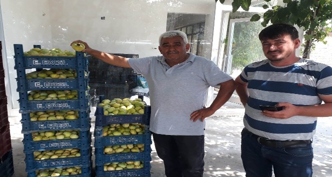 İncirde 5 bin ton beklentisi