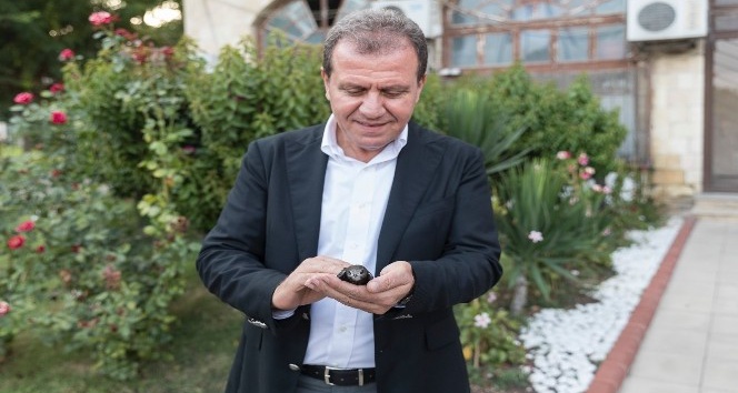 Mersin B&uuml;y&uuml;kşehir'in bah&ccedil;esine ebabil kuşu kondu