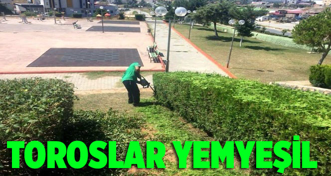 Toroslar'da &ccedil;evre d&uuml;zenlemesi &ccedil;alışmaları s&uuml;r&uuml;yor