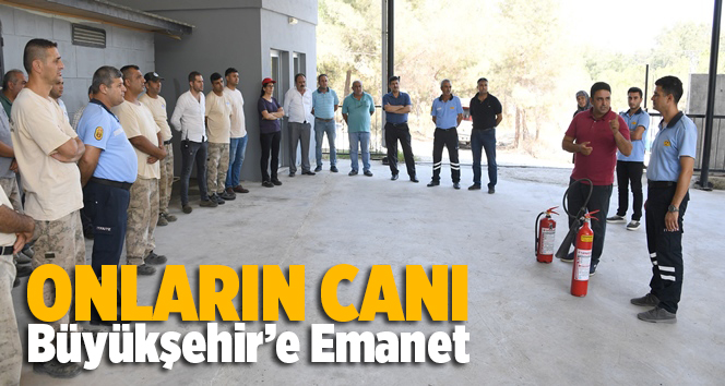 Hayvan Dostlarımızın Can G&uuml;venliği de B&uuml;y&uuml;kşehir&rsquo;e Emanet