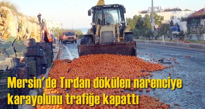 Mersin'de Tırdan d&ouml;k&uuml;len narenciye karayolunu trafiğe kapattı