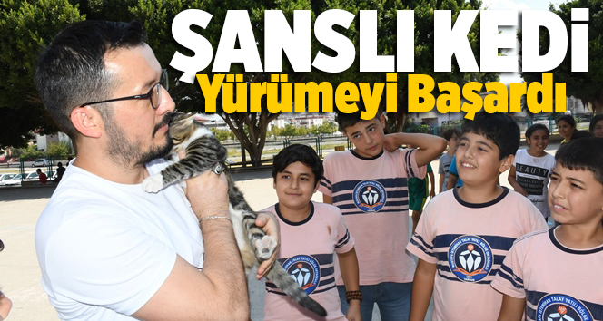 Mersin'de &ouml;ğretmen ve &ouml;ğrenciler fel&ccedil;li kediyi y&uuml;r&uuml;tmeyi başardı