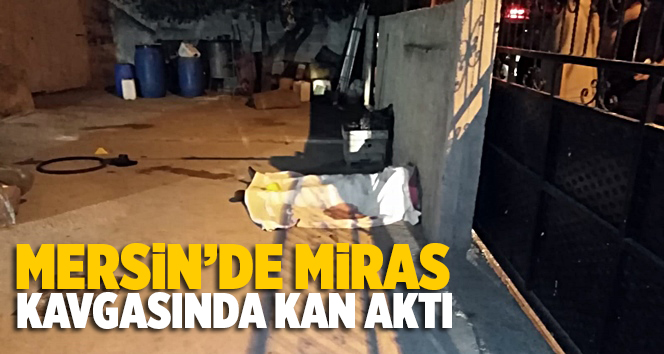 Mersin Tarsus'ta Miras Y&uuml;z&uuml;nden Ağabey, Kardeşini &Ouml;ld&uuml;rd&uuml;